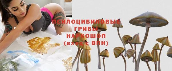 твердый Киренск