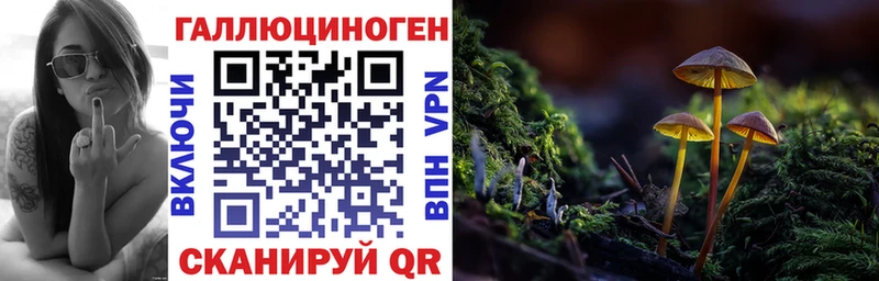 Псилоцибиновые грибы Psilocybe  Купить закладки  Слободской 